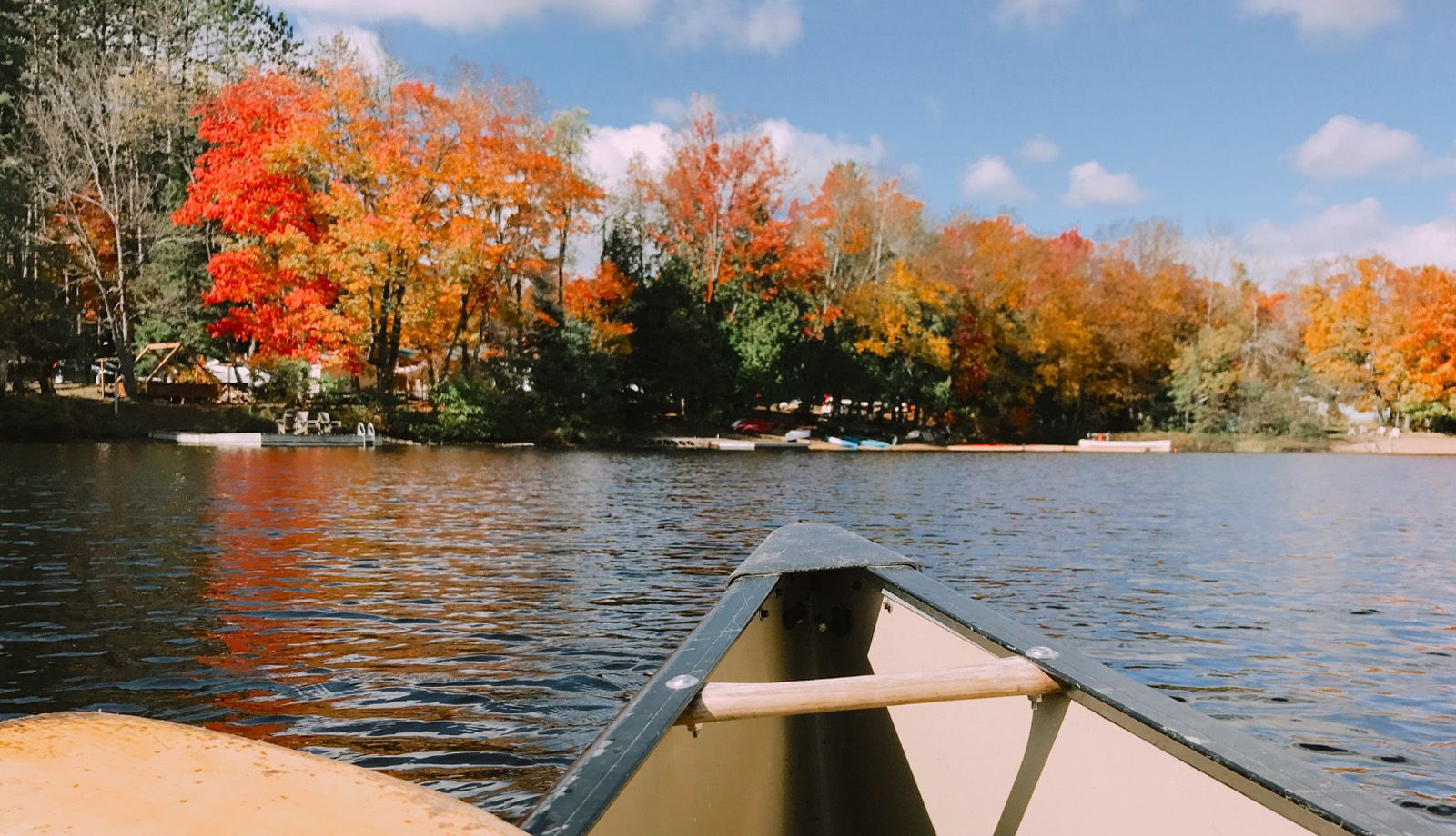 algonquin title